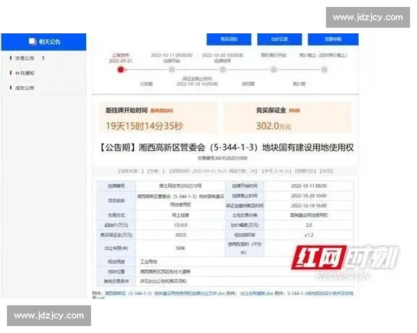 比赛淘汰赛制解析及优化方案探讨：如何提高赛事竞争力与观众体验